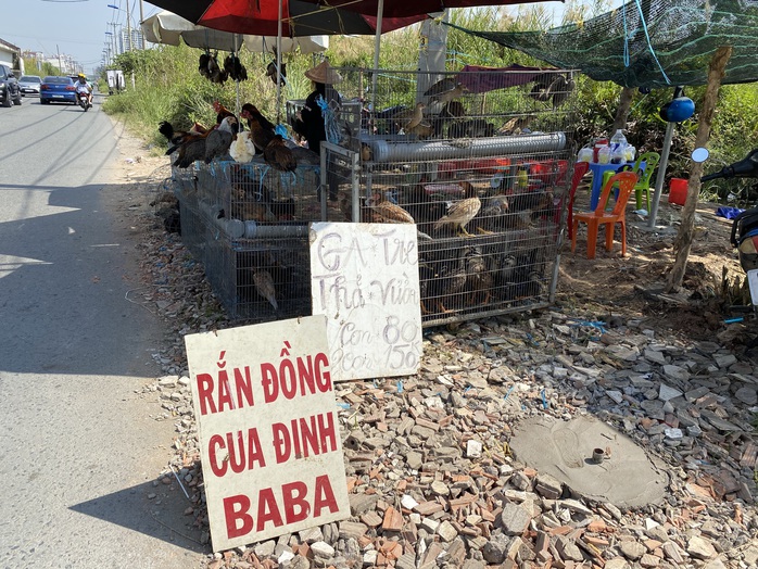 Nhiều điểm bán chim, gà tre tự phát ở TP HCM - Ảnh 14. Nhiều điểm bán chim, gà tỷ lệ kèo nhà cái hôm nay tự phát ở TP HCM - Ảnh 14.