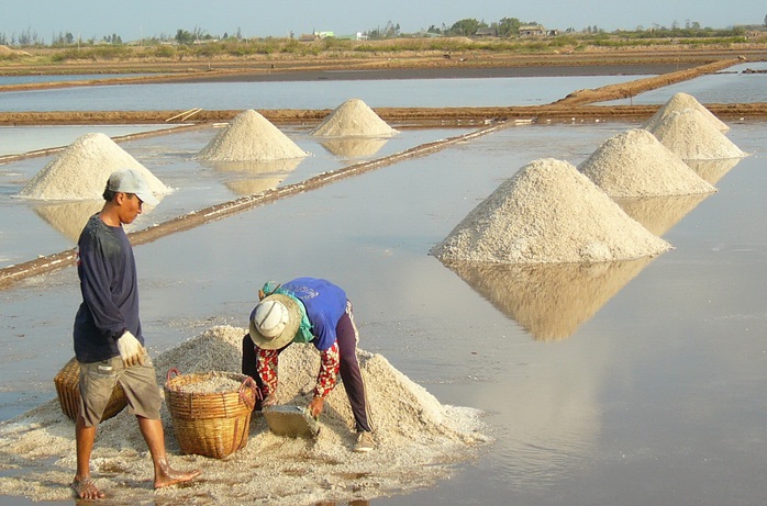 Nghề làm muối ở Bạc Liêu: Di sản văn hoá phi vật thể quốc gia - Ảnh 3.