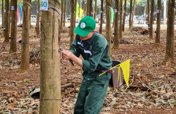 Sôi nổi hội thi Bàn tay vàng ngành cao su - Ảnh 1.