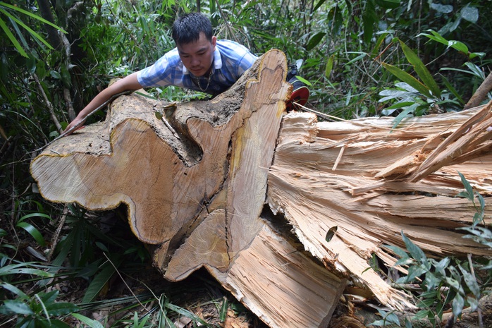 Họp HĐND tỉnh Quảng Nam: Bao giờ Tam Kỳ hết ngập? - Ảnh 4.