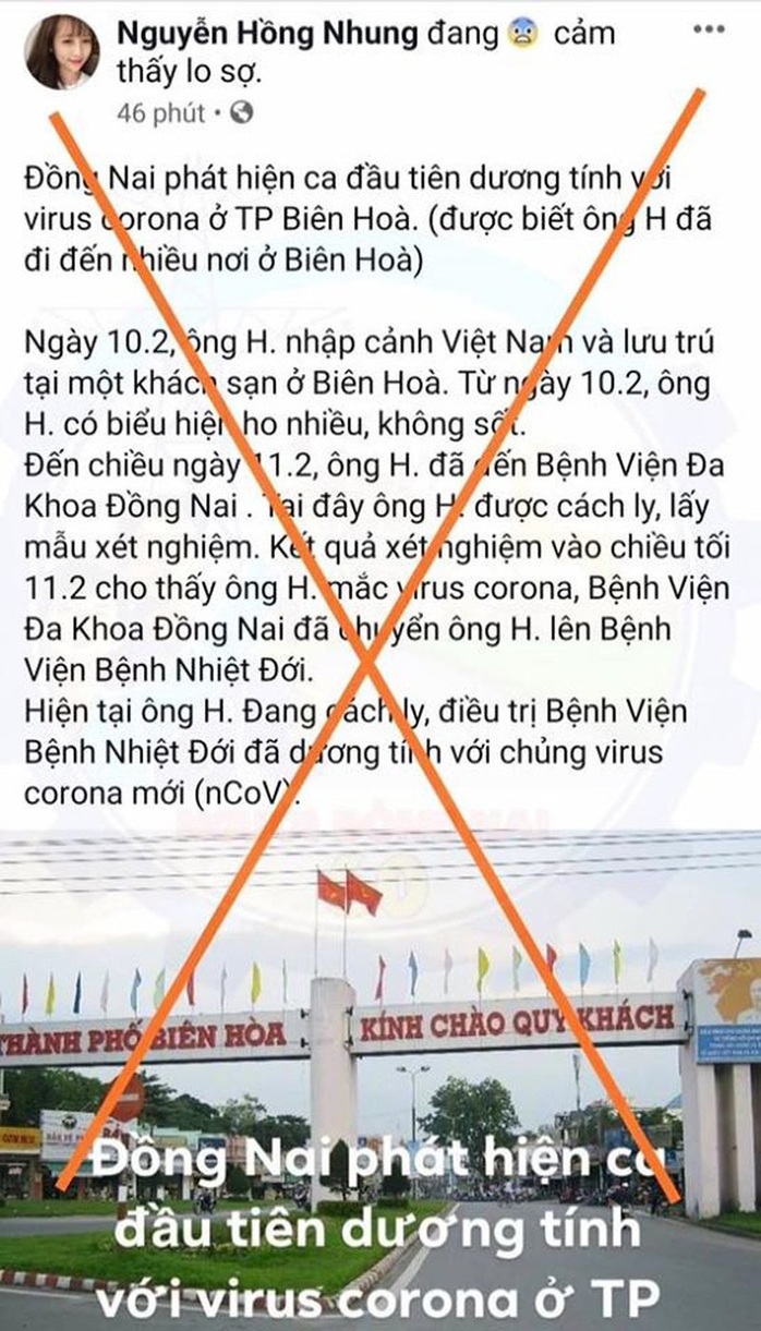 Đăng tin giả về Covid-19,  người  đang ở bên Mỹ  đã bị tìm thấy ở Đồng Nai - Ảnh 1.