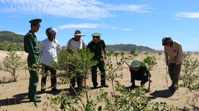 Bãi cạn đang hồi sinh - Ảnh 3.