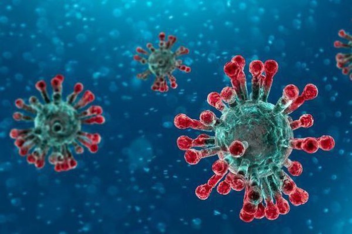 Cẩm nang 10 câu hỏi - đáp để chủ động ngừa virus corona - Ảnh 1.