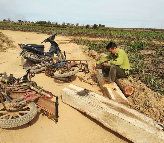 Lâm tặc manh động, vây đánh kiểm lâm toác đầu - Ảnh 2.