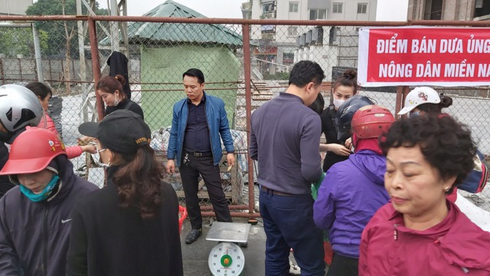 Dân Hà Nội đổ xô mua dưa hấu giải cứu nông dân các tỉnh phía Nam - Ảnh 3. Dân Hà Nội đổ xô mua dưa hấu giải cứu nông dân các tỉnh phía Nam - Ảnh 3.