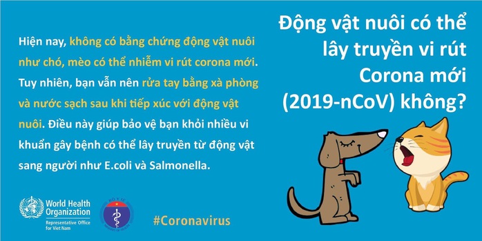 Bộ Y tế và WHO giải đáp thắc nhận bưu phẩm, thư tín có lây nhiễm virus corona hay không - Ảnh 1.