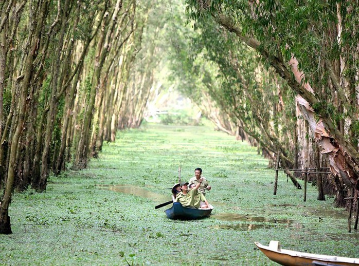 Phê duyệt phương án quản lý Khu bảo vệ cảnh quan rừng tràm Trà Sư - Ảnh 1.