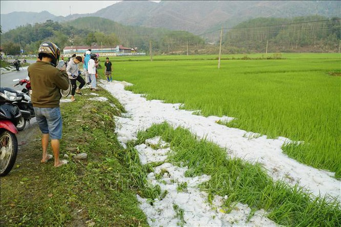 Mưa đá rơi trắng như tuyết tại Điện Biên - Ảnh 10.