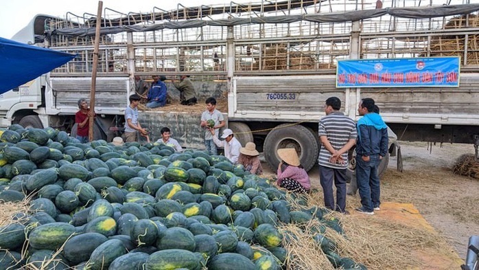 Mua 1 xe dưa, thương lái bị đòi tiền bảo kê 2 triệu đồng - Ảnh 1.