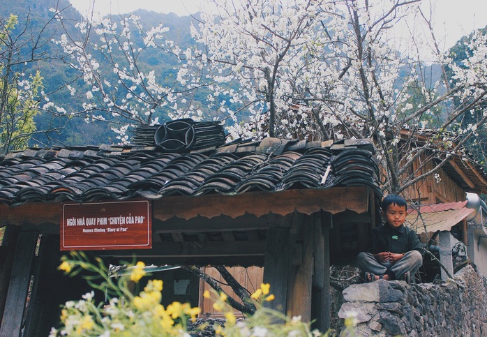 Du xuân Hà Giang, gieo mình giữa bạt ngàn hoa - Ảnh 11. Du xuân Hà Giang, gieo mình giữa bạt ngàn tỷ lệ kèo nhà cái 88 - Ảnh 11.