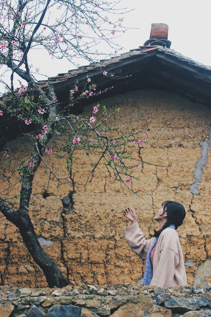 Du xuân Hà Giang, gieo mình giữa bạt ngàn hoa - Ảnh 9. Du xuân Hà Giang, gieo mình giữa bạt ngàn tỷ lệ kèo nhà cái 88 - Ảnh 9.
