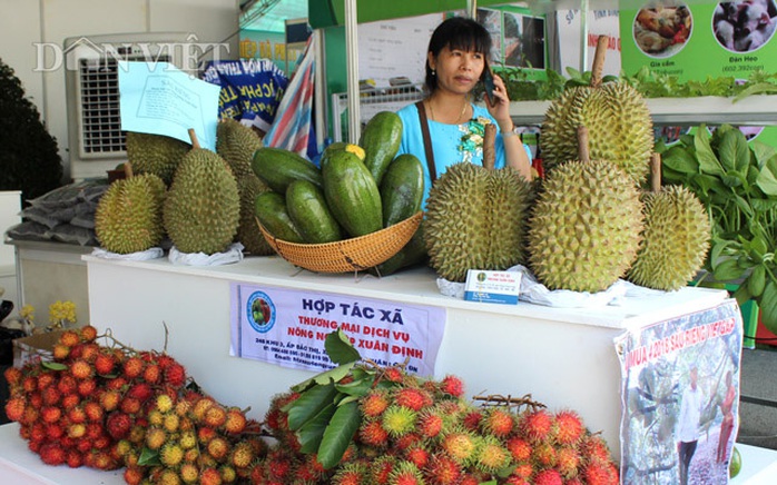 Giá sầu riêng tăng kỷ lục: Nơi thu tiền tỉ, nơi vật vã vì hạn mặn - Ảnh 4. Giá sầu riêng tăng kỷ lục: Nơi thu tiền tỉ, nơi vật vã vì hạn mặn - Ảnh 4.