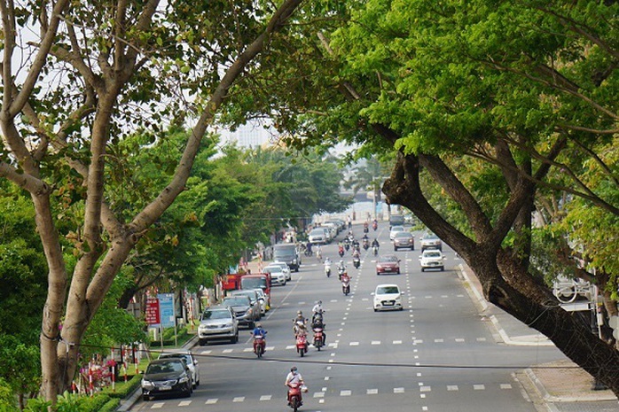 Giá đất tại Đà Nẵng cao nhất 98,8 triệu đồng/m2 - Ảnh 1.