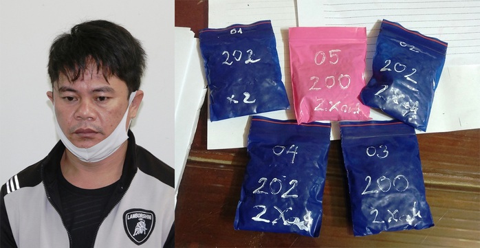 Quảng Bình: Bắt đối tượng ngụy trang 1.000 viên ma túy trong chậu cây cảnh - Ảnh 1.