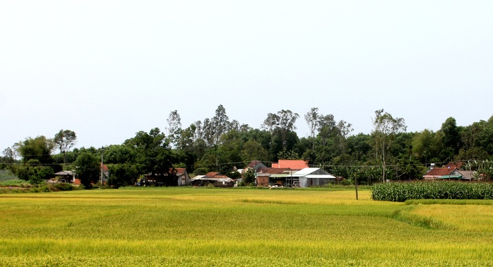 Chuyện làng Gia Hội - Ảnh 2.