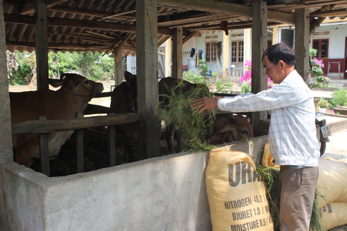 Chuyện làng Gia Hội - Ảnh 3.