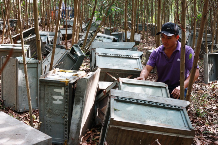 Đập phá trại nuôi ong vì sợ lây lan... dịch Covid-19 - Ảnh 1.