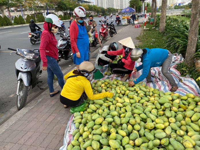 Xoài vào mùa, tràn xuống lề đường, giá rẻ - Ảnh 1.