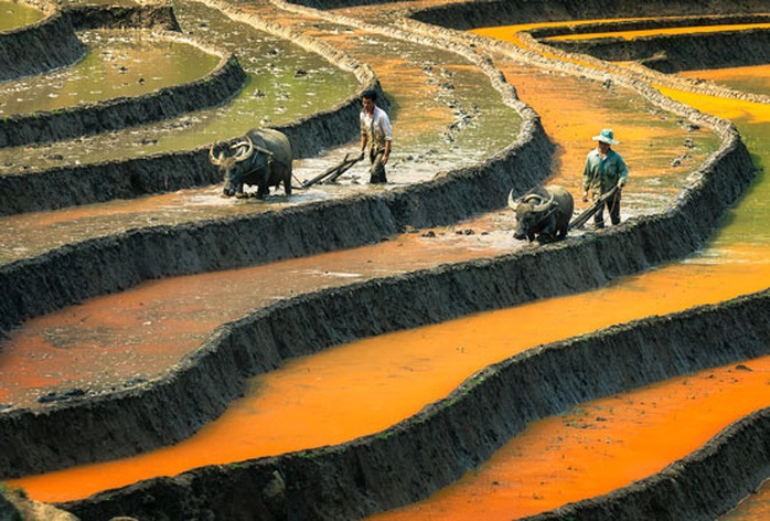 Nét đẹp lao động: Cho ngày mai tươi sáng - Ảnh 4.