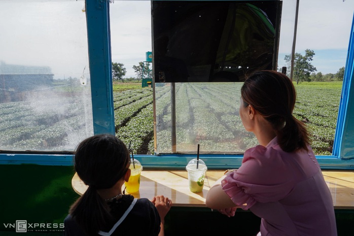 Du khách thích thú với những quán cà phê di động dưới hàng thông trăm tuổi - Ảnh 8. Du khách thích thú với những quán cà phê di động dưới hàng thông trăm tuổi - Ảnh 8.