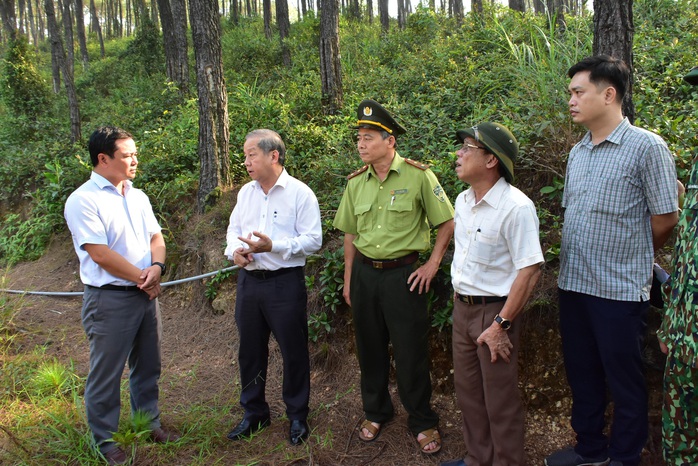 Miền Trung - Tây Nguyên: Nguy cơ cháy rừng rất cao - Ảnh 2.