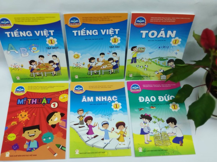 TP HCM không phải là địa phương chọn SGK Chân trời sáng tạo nhiều nhất - Ảnh 1.