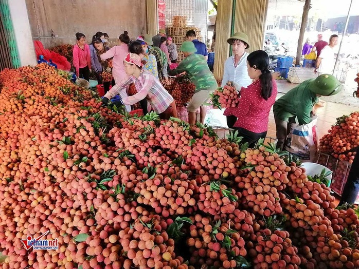 Vải thiều Trung Quốc thắng lớn, lo thế mạnh 6.000 tỉ của Việt Nam gặp khó - Ảnh 1.