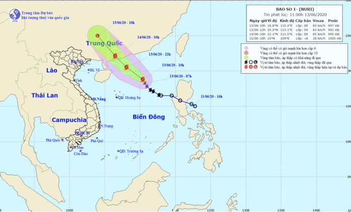 TP HCM và nhiều tỉnh lân cận mưa to, gió lớn vì ảnh hưởng bão số 1 - Ảnh 2.