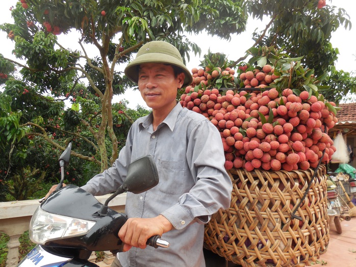 Lục Ngạn không chỉ vải thiều! - Ảnh 2.