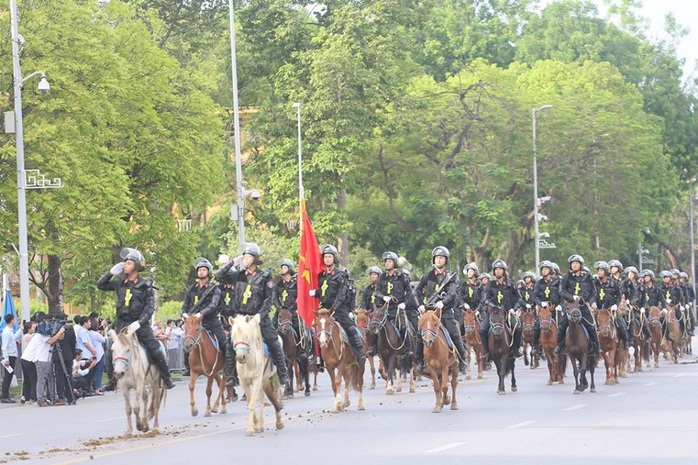 Đoàn Cảnh sát cơ động Kỵ binh: Giống ngựa kỵ binh sức khoẻ tốt, ngoại hình phù hợp - Ảnh 1.