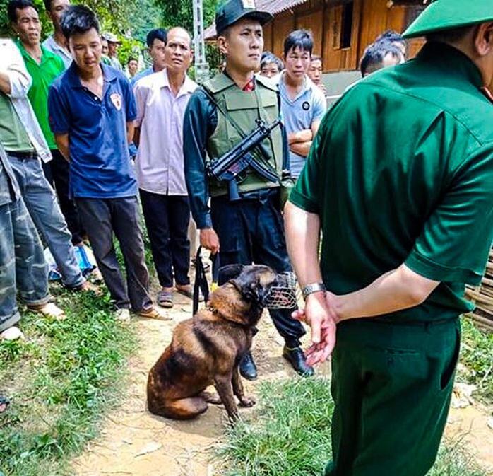 Bắt được nghi phạm đánh chết hàng xóm, bỏ trốn vào rừng - Ảnh 3.