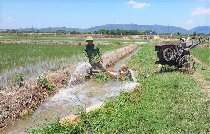 Lúa chết cháy, ruộng đồng nứt toác vì hạn hán kỉ lục - Ảnh 6.