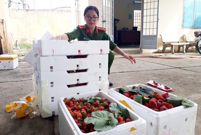 H&agrave;ng Trung Quốc b&aacute;o hại đặc sản Đ&agrave; Lạt - Ảnh 1.