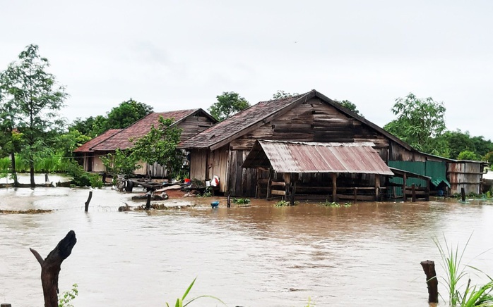 Mưa 1 trận, xóm làng Đắk Lắk chìm trong nước, hàng trăm ngôi nhà bị ngập - Ảnh 7.