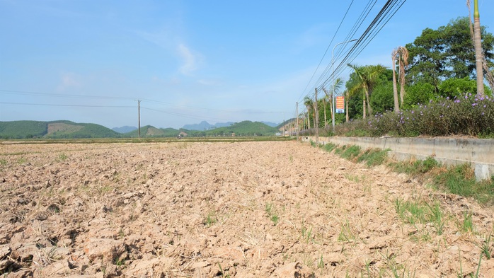 Hàng ngàn ha ruộng bỏ không vì nắng hạn kỷ lục kéo dài - Ảnh 1.