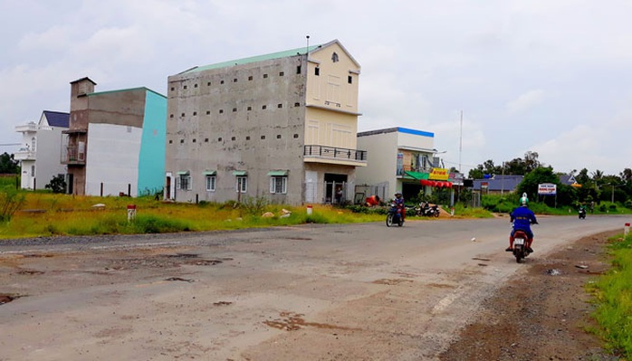 Tiếng chim trong thành phố - Ảnh 1. Tiếng chim trong thành phố - Ảnh 1.
