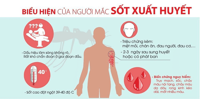 Thiếu niên 17 tuổi mắc sốt xuất huyết tử vong do sợ Covid-19, tự truyền dịch tại nhà - Ảnh 2.