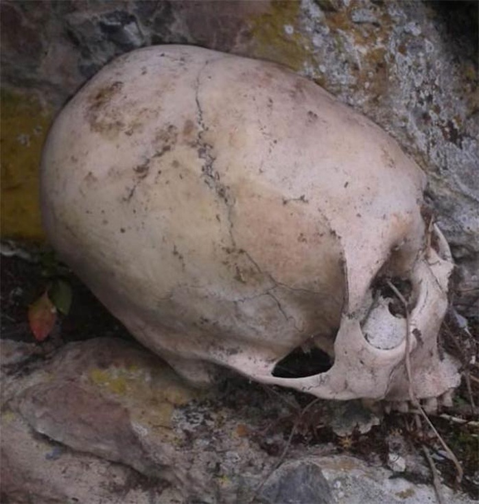 Choáng: hài cốt người trong mộ hang động có hộp sọ như của loài khác - Ảnh 2.