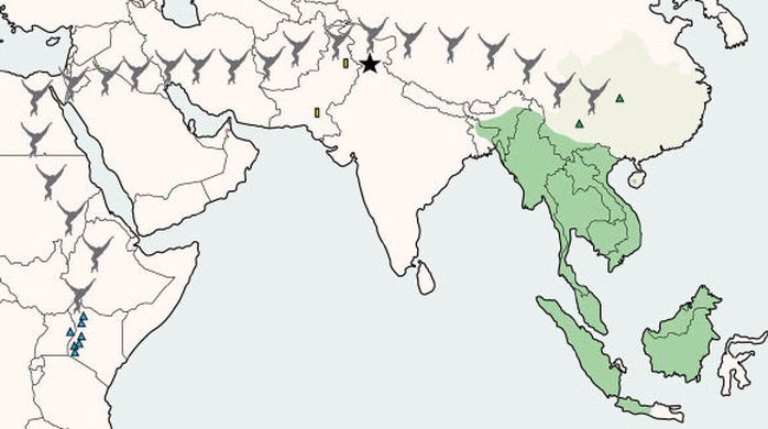 Bí ẩn loài họ hàng con người khai phá Đông Nam Á tận 13 triệu năm trước - Ảnh 1.