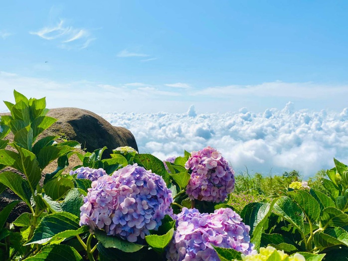 Đêm hội trăng rằm tưng bừng chưa từng có trên đỉnh núi Bà Đen  - Ảnh 3.