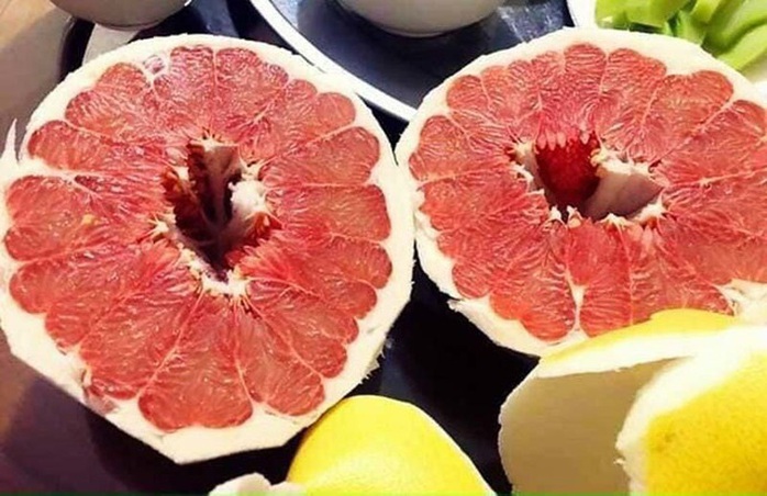 Bưởi Trung Quốc ruột đỏ au, vỏ vàng không hạt, ngày bán cả tấn - Ảnh 3. Bưởi Trung Quốc ruột đỏ au, vỏ vàng không hạt, ngày bán cả tấn - Ảnh 3.