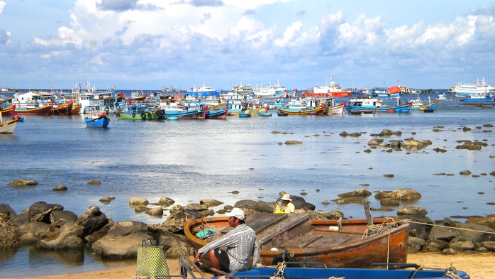 Phú Quý xa mà gần - Ảnh 1.