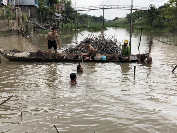 Về miền Tây dỡ chà bắt cá - Ảnh 1.