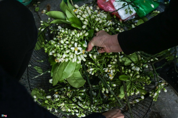 Người Hà Nội chen nhau mua gà ngậm hoa hồng cúng giao thừa - Ảnh 12. Người Hà Nội chen nhau mua gà ngậm hoa hồng cúng giao thừa - Ảnh 12.