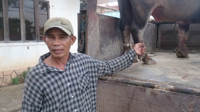 Binh pháp săn trâu hoang - Ảnh 3.