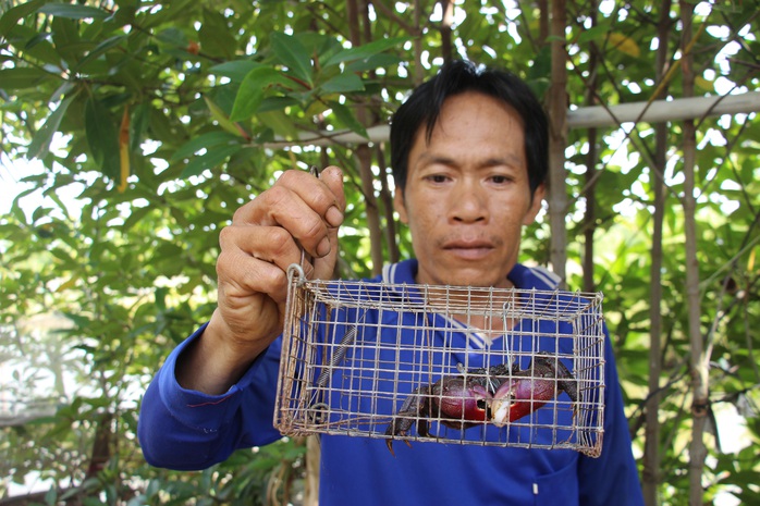 Đã mắt xem nông dân Cà Mau dùng “tuyệt chiêu” bắt ba khía - Ảnh 13.