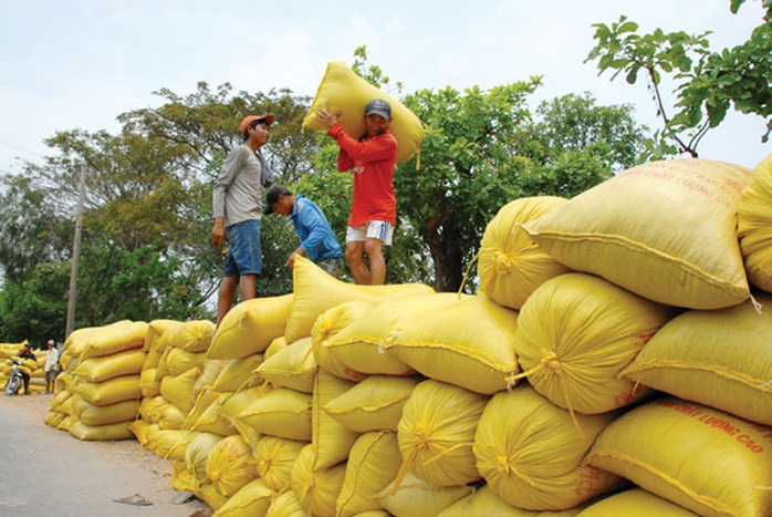 Trúng mùa đầu năm - Ảnh 1.