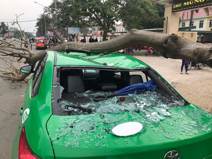 Nam tài xế và khách thoát chết hi hữu khi bị cây xanh gãy đè bẹp xe taxi - Ảnh 2.