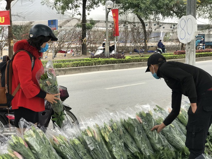Hoa tươi đổ đống đầy vỉa hè, nhà vườn bất lực nhìn giá lao dốc - Ảnh 2. Hoa tươi đổ đống đầy vỉa hè, nhà vườn bất lực nhìn giá lao dốc - Ảnh 2.
