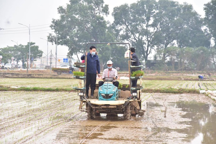 Bí thư Vương Đình Huệ xuống ruộng cấy lúa cùng bà con - Ảnh 2.